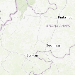 Esri Topo
